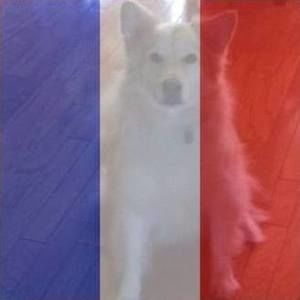 Meet your Posher, Joe